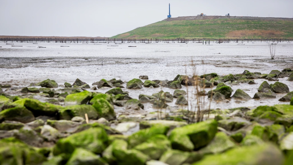 Olielek dreigt grote gevolgen te hebben voor natuurgebieden Zeeland Olielek dreigt grote gevolgen te hebben voor natuurgebieden Zeeland